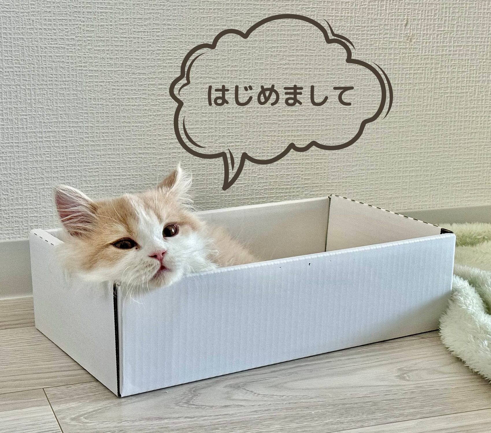 うに_プロフィール写真