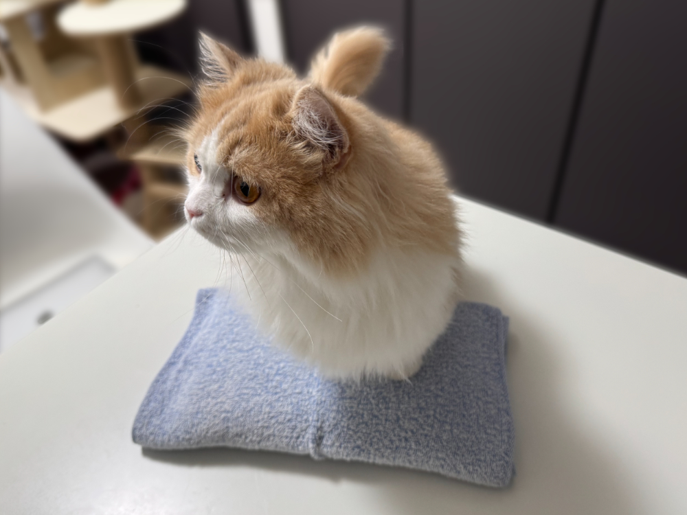 タオルで包んだ氷枕