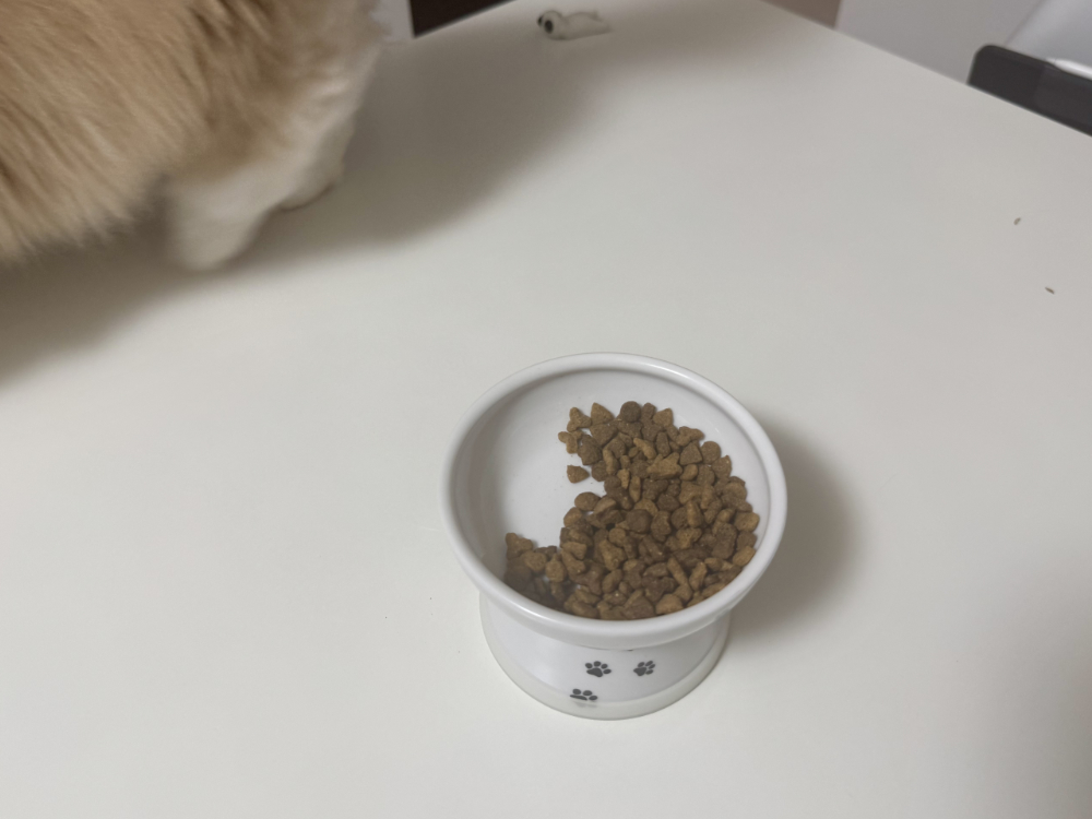 グリニーズだけ食べて去るうに