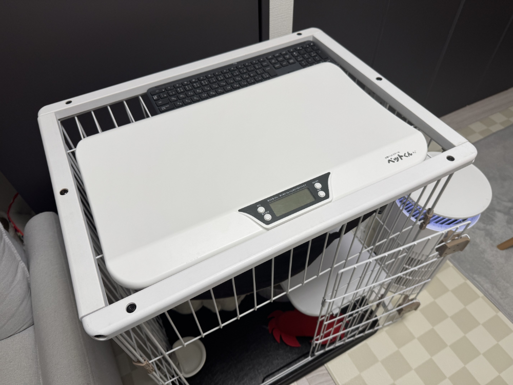 サークル上に体重計を置いて猫が歩きやすくした様子