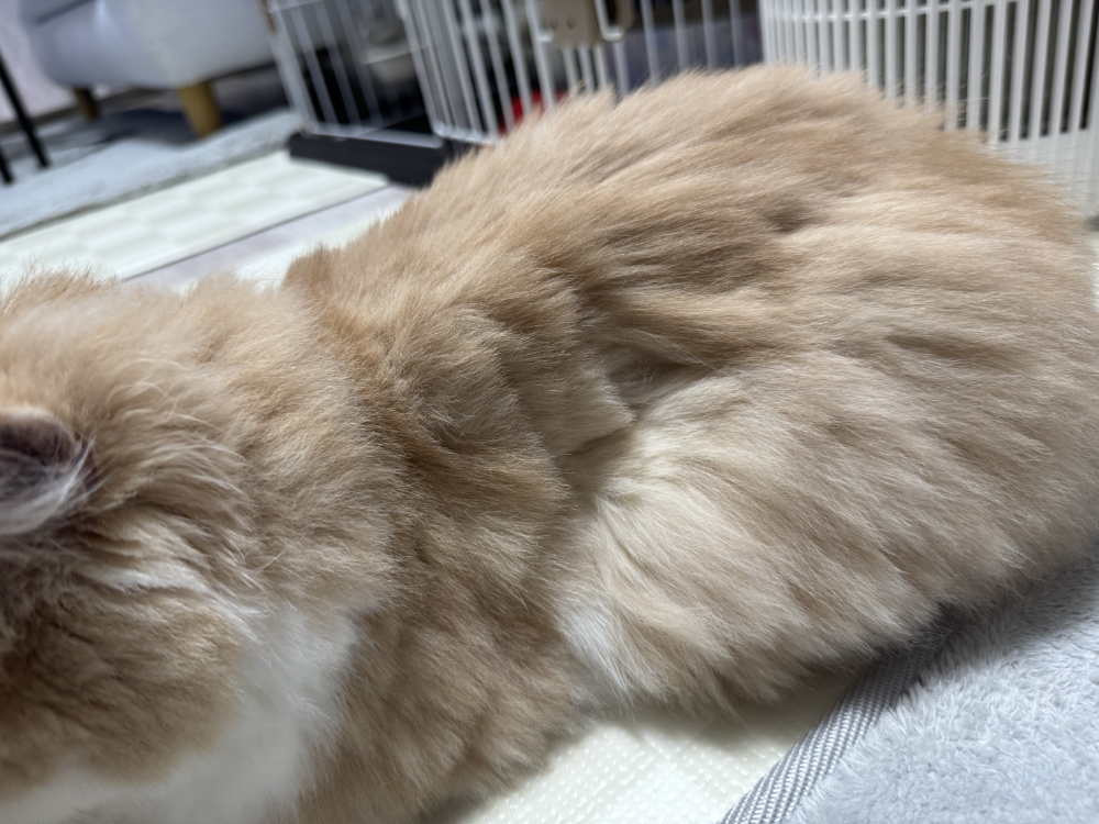ボディ失敗箇所