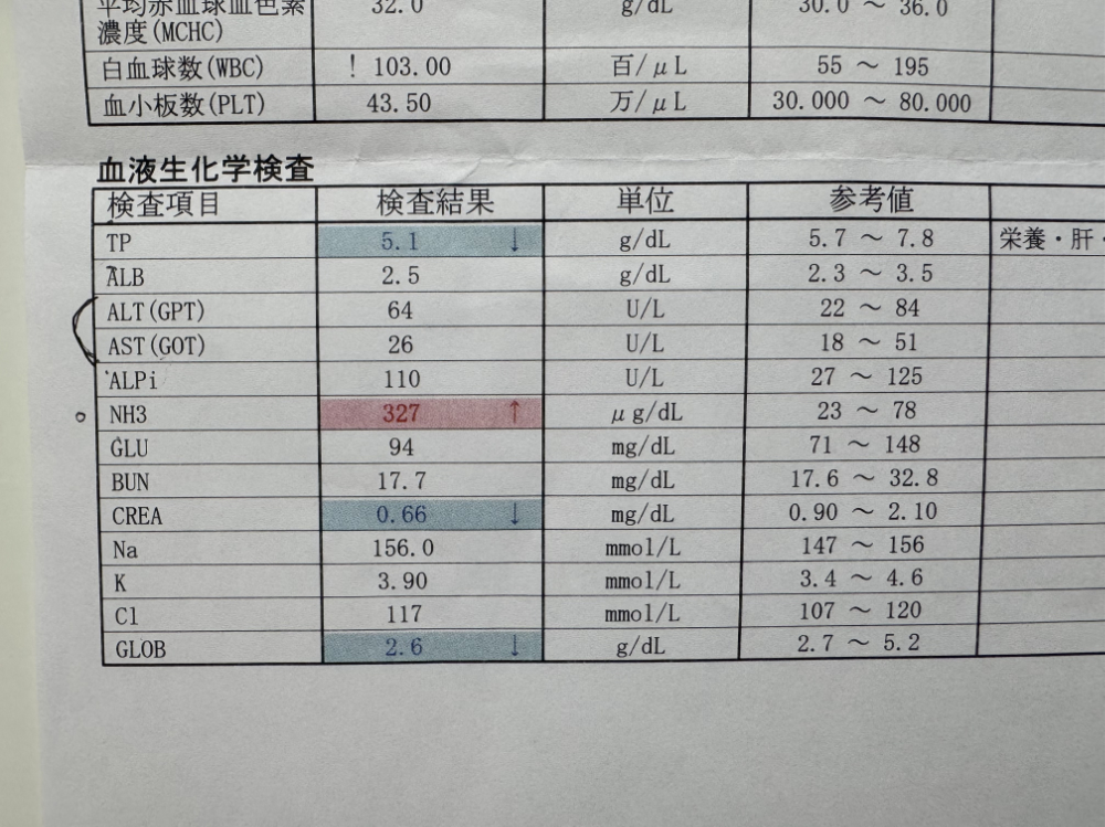 術前血液検査で記録されたアンモニア値の異常結果