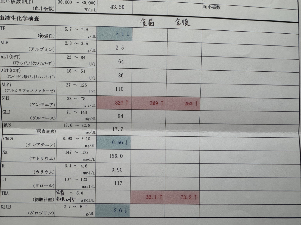 TBA検査とアンモニア値の結果用紙