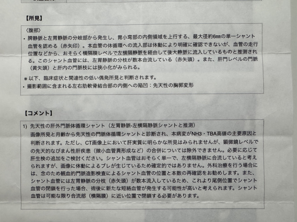 CT読影レポートの所見とコメント