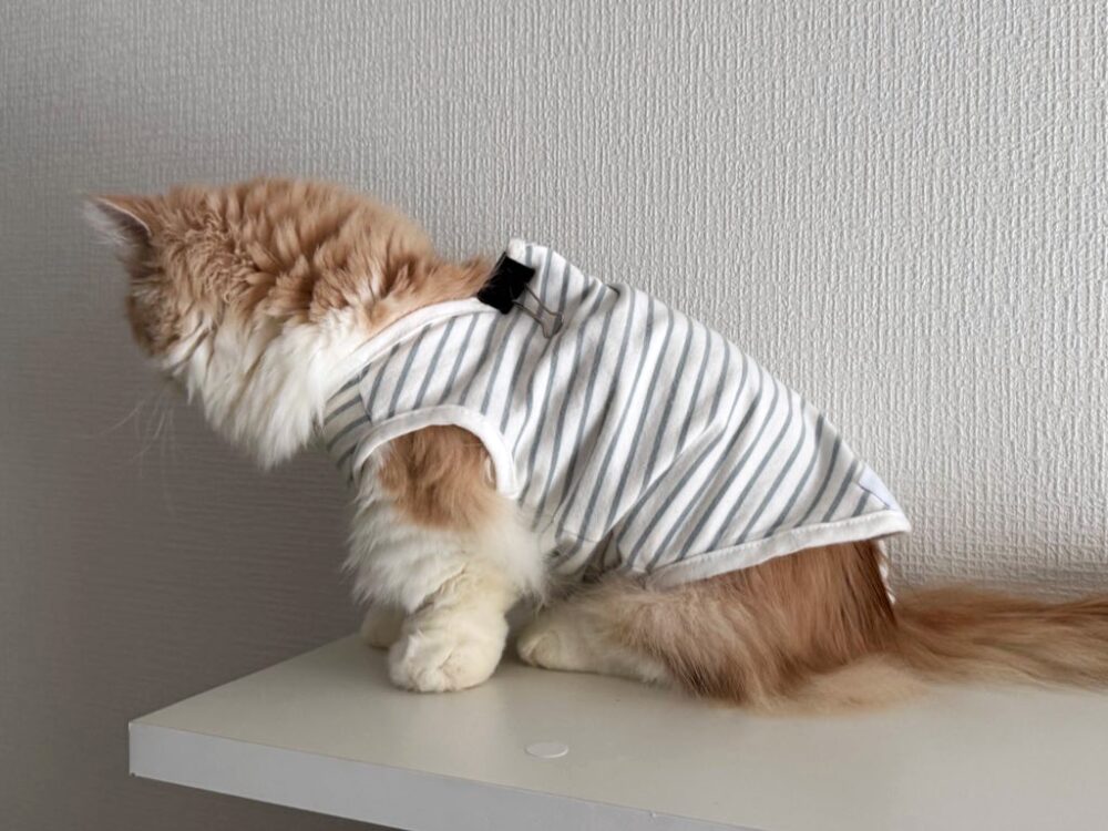 術後服をクリップで留めた『うに』②