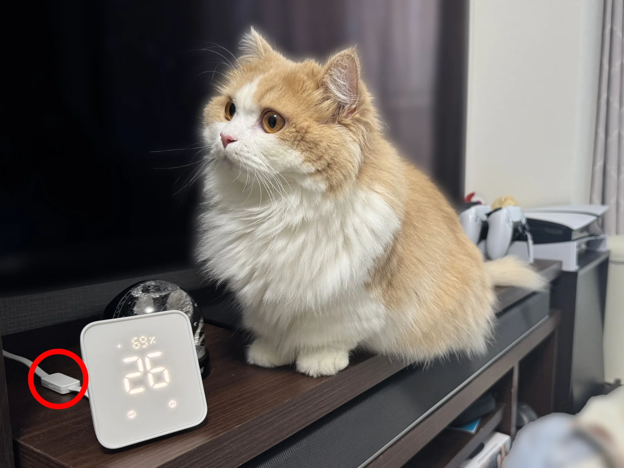 SwitchBot Hub2と猫の『うに』。温湿度センサー部分を赤丸で示した写真